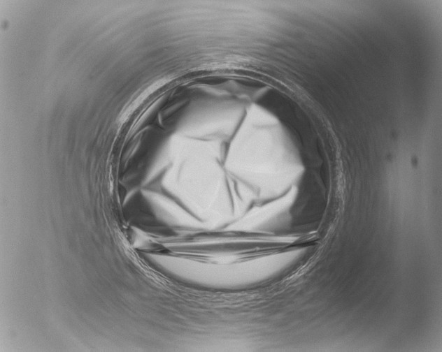 X0000051250885200507152147