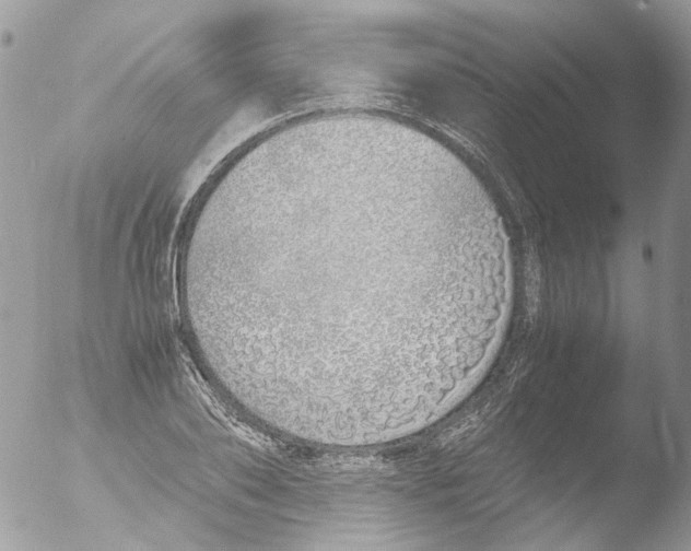 X0000051250886200507152147