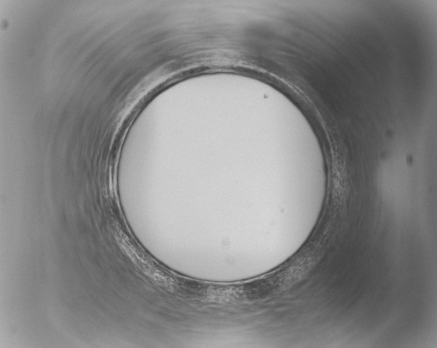 X0000051250887200507152147