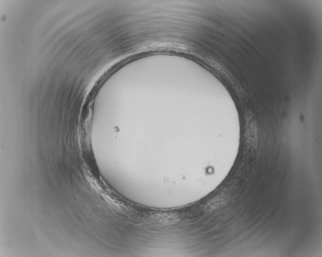 X0000051250888200507152147