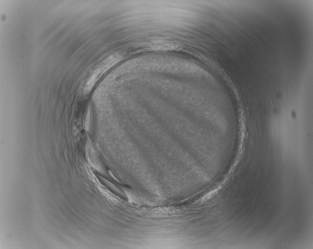 X0000051250889200507152146