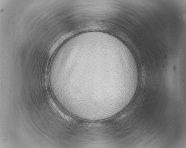 X0000051250890200507152146