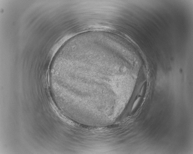 X0000051250891200507152146