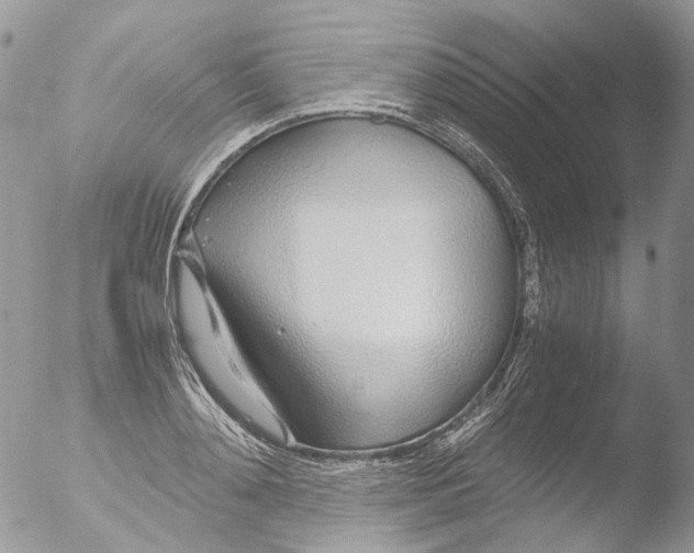 X0000051250892200507152146