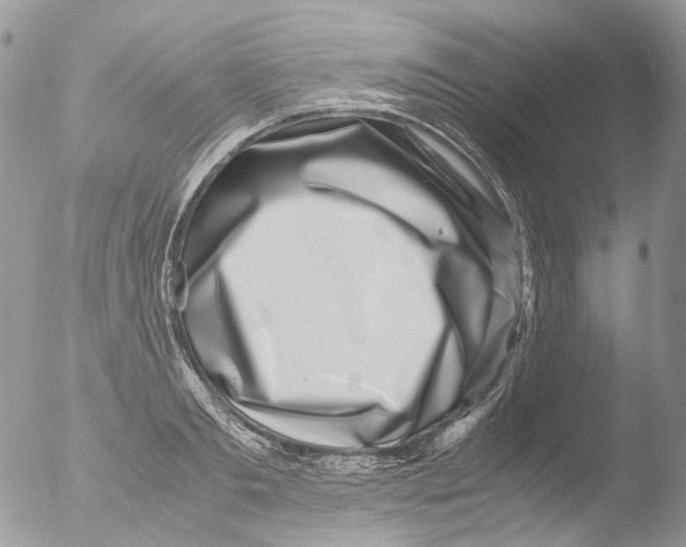 X0000051250893200507152146