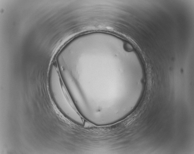 X0000051250895200507152146