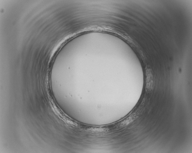 X0000051250896200507152146