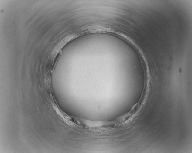 X0000051250897200507152146