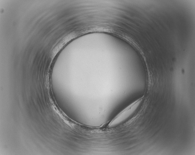 X0000051250898200507152146