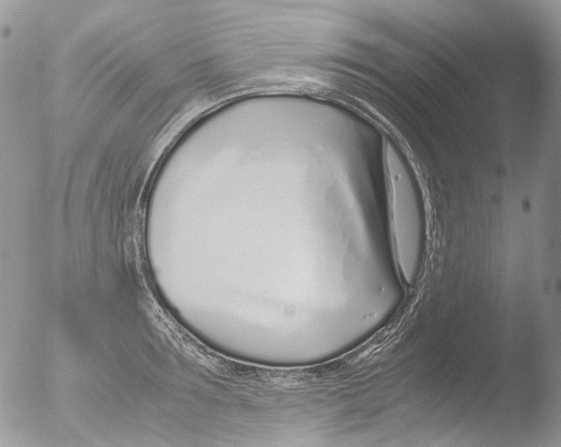 X0000051250899200507152146