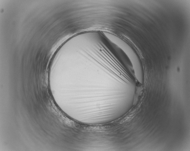 X0000051250900200507152146