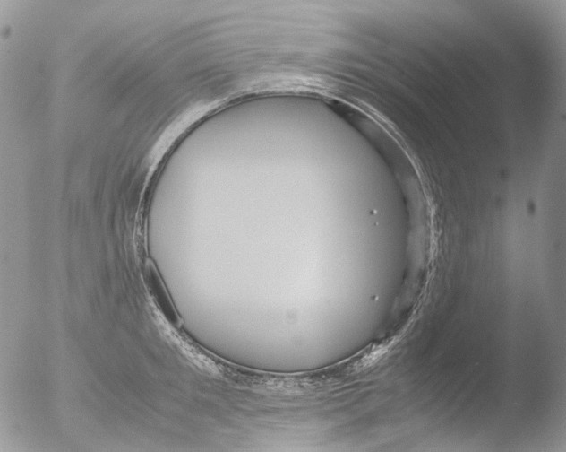 X0000051250901200507152146