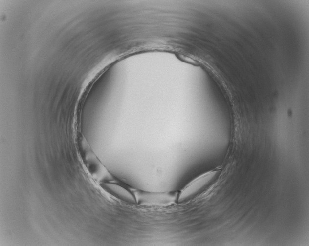 X0000051250902200507152146