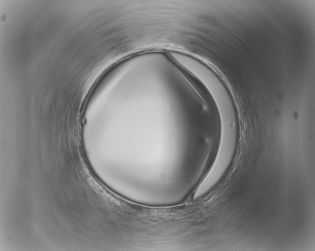 X0000051250903200507152146