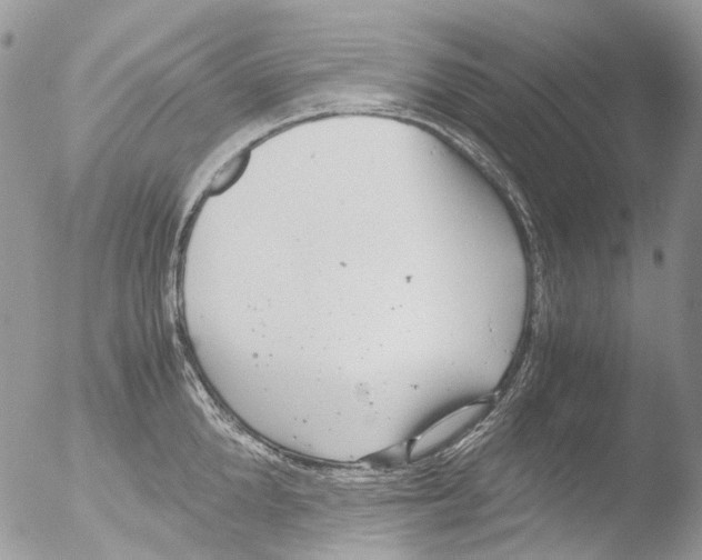 X0000051250904200507152146