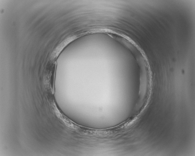 X0000051250905200507152146