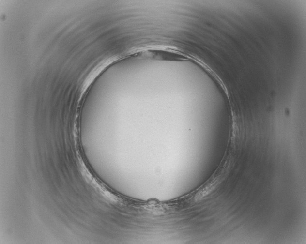 X0000051250906200507152146