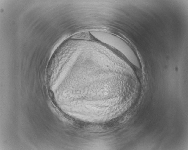 X0000051250907200507152146