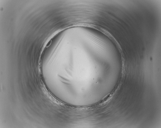 X0000051250908200507152146