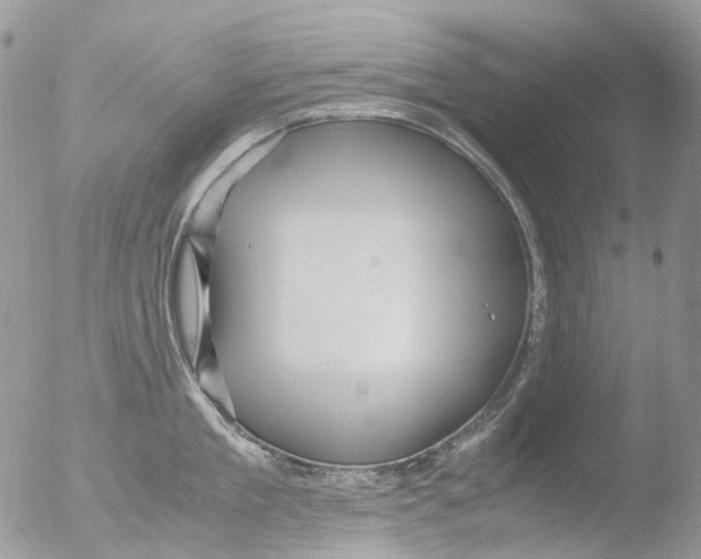 X0000051250909200507152146