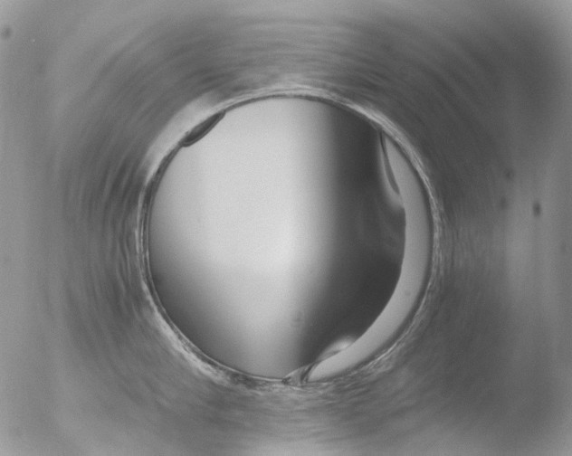 X0000051250910200507152146