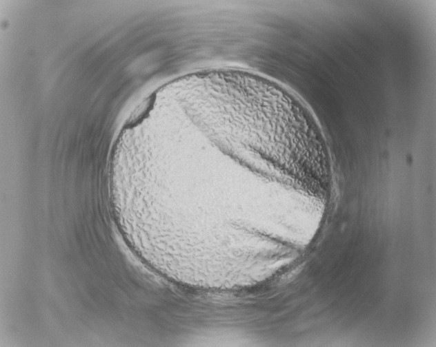 X0000051250911200507152146