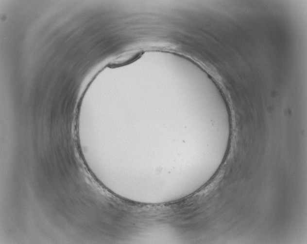 X0000051250912200507152146