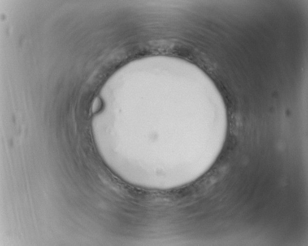 X0000051250913200507152145