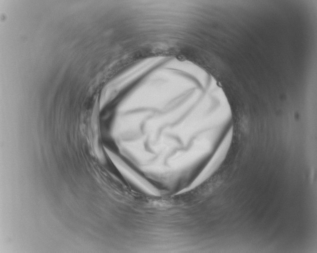 X0000051250914200507152145