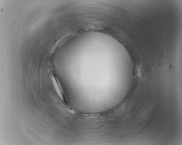 X0000051250915200507152145