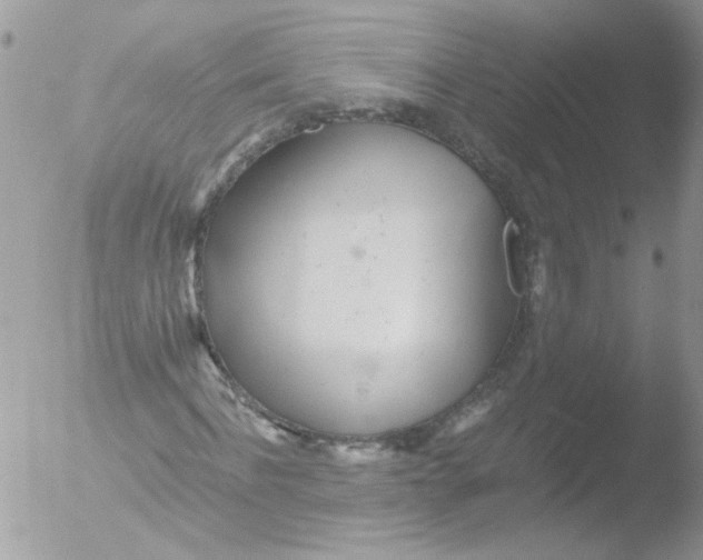 X0000051250916200507152145