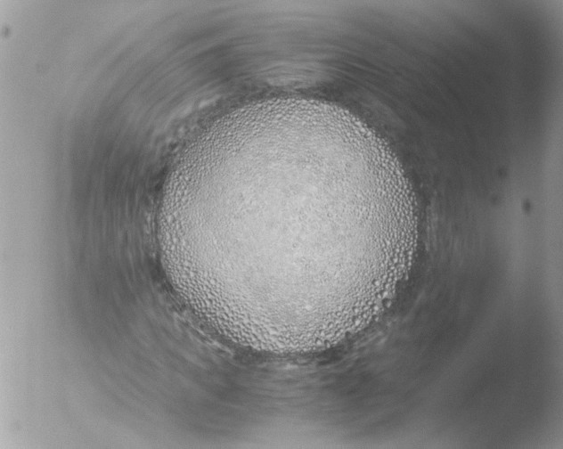 X0000051250917200507152145