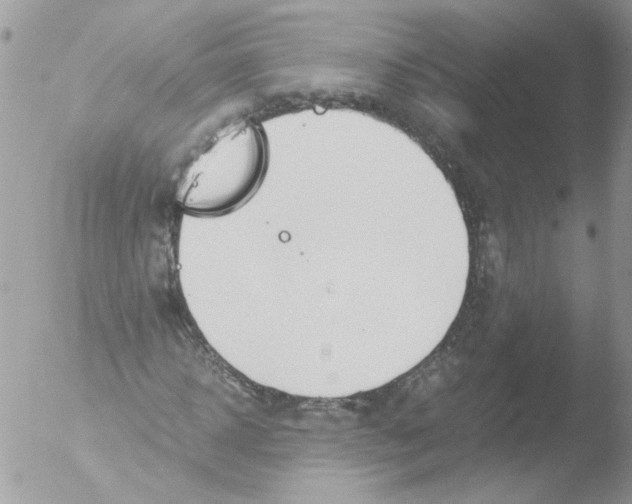 X0000051250918200507152145