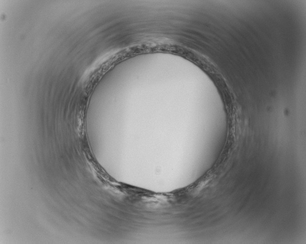 X0000051250919200507152145