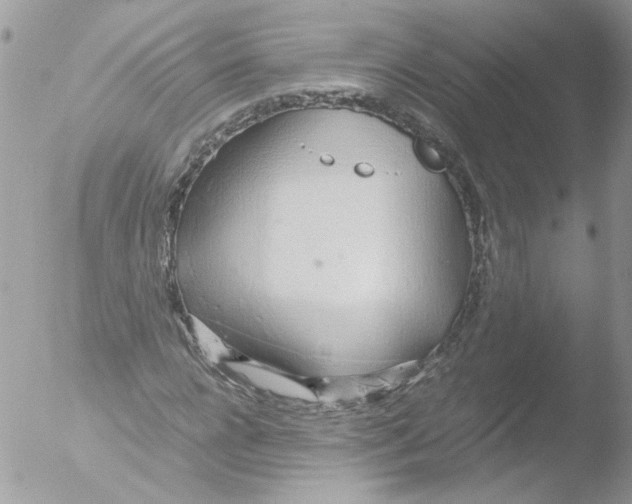 X0000051250920200507152145