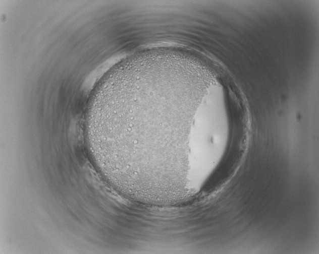 X0000051250921200507152145