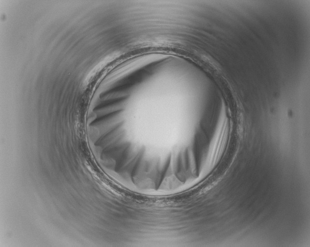 X0000051250922200507152145