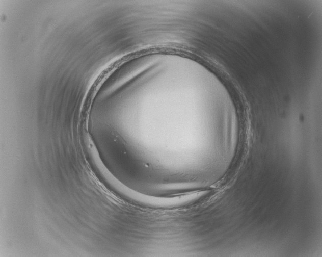 X0000051250924200507152145