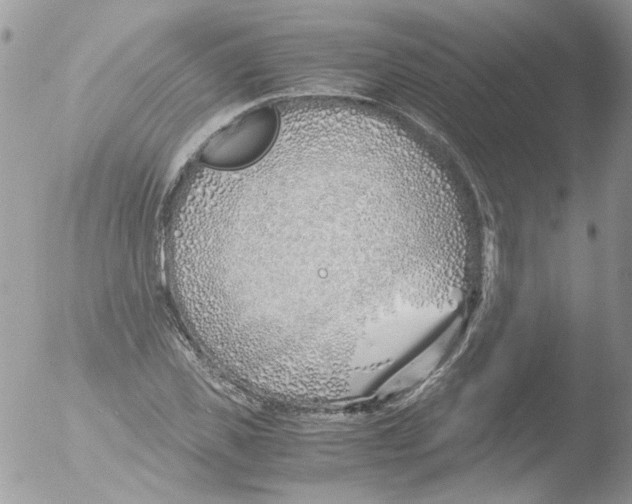 X0000051250925200507152146