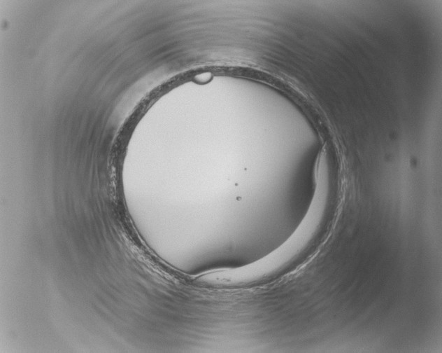 X0000051250926200507152146