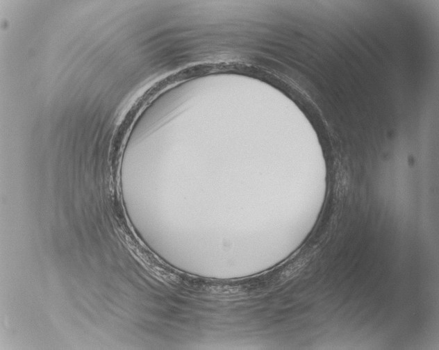 X0000051250927200507152146