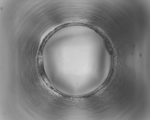 X0000051250928200507152146