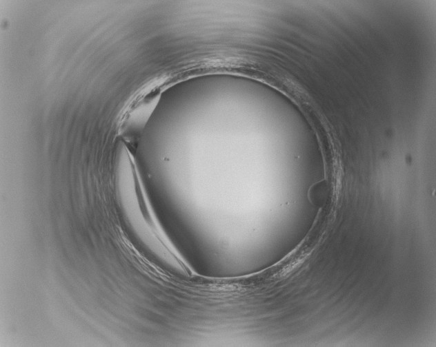 X0000051250930200507152146