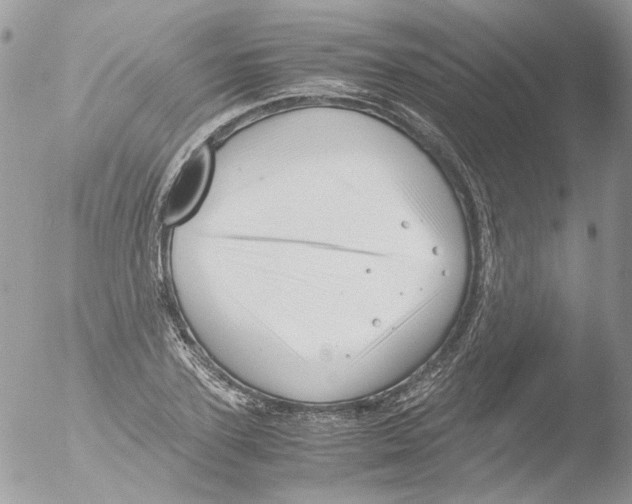 X0000051250931200507152146