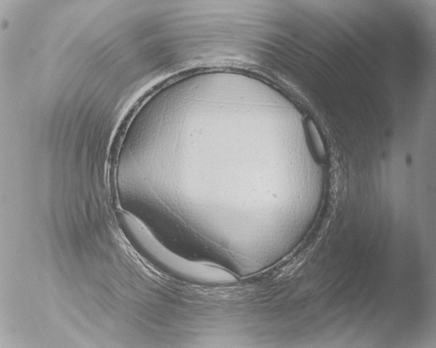 X0000051250932200507152146