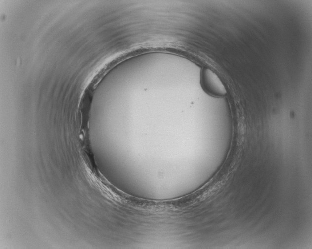 X0000051250934200507152146