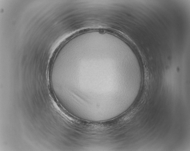 X0000051250935200507152146