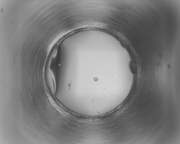 X0000051250936200507152146