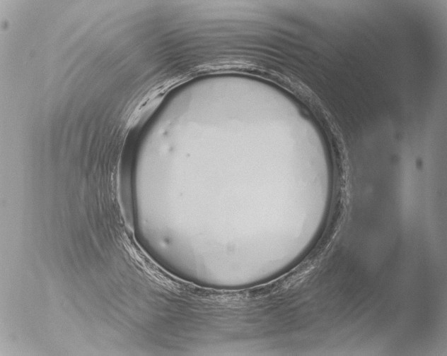 X0000051250937200507152146