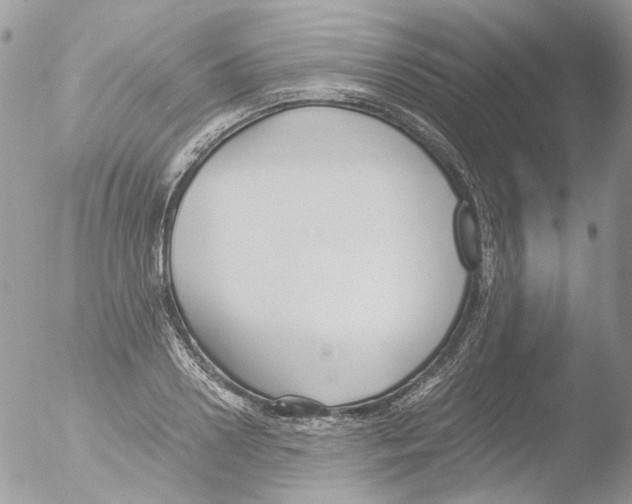 X0000051250938200507152146